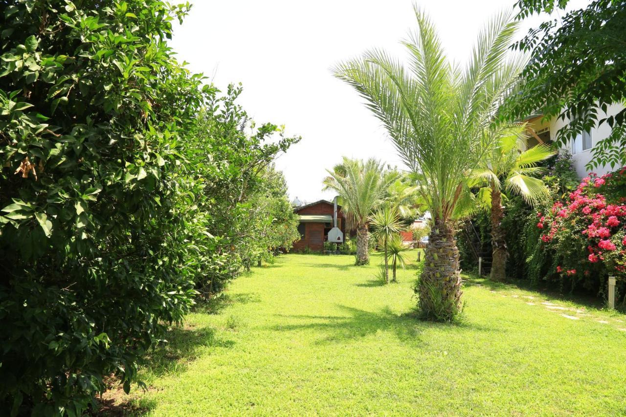 Tunays Pansiyon Bed and Breakfast Çıralı Habitación foto
