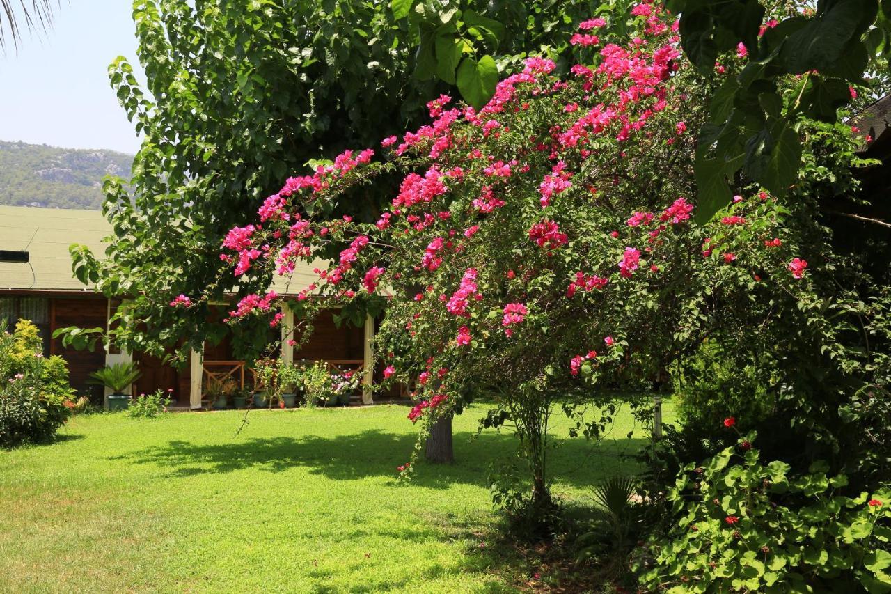 Tunays Pansiyon Bed and Breakfast Çıralı Exterior foto