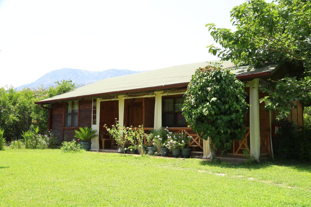 Tunays Pansiyon Bed and Breakfast Çıralı Habitación foto